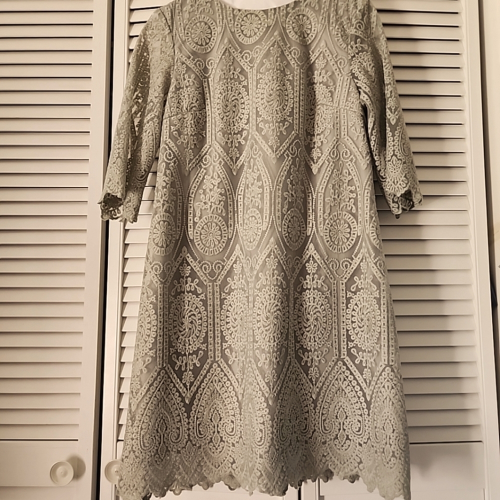 Shein Light Green Lace Overlay Dress